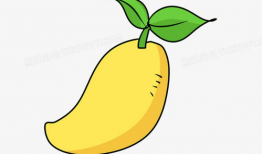 芒果动漫,描绘青春梦想的彩色画卷